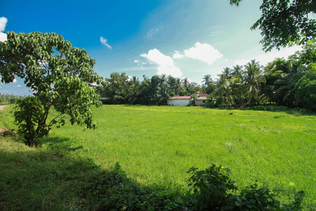 Airport Green View Resort Andiambalama Exteriör bild